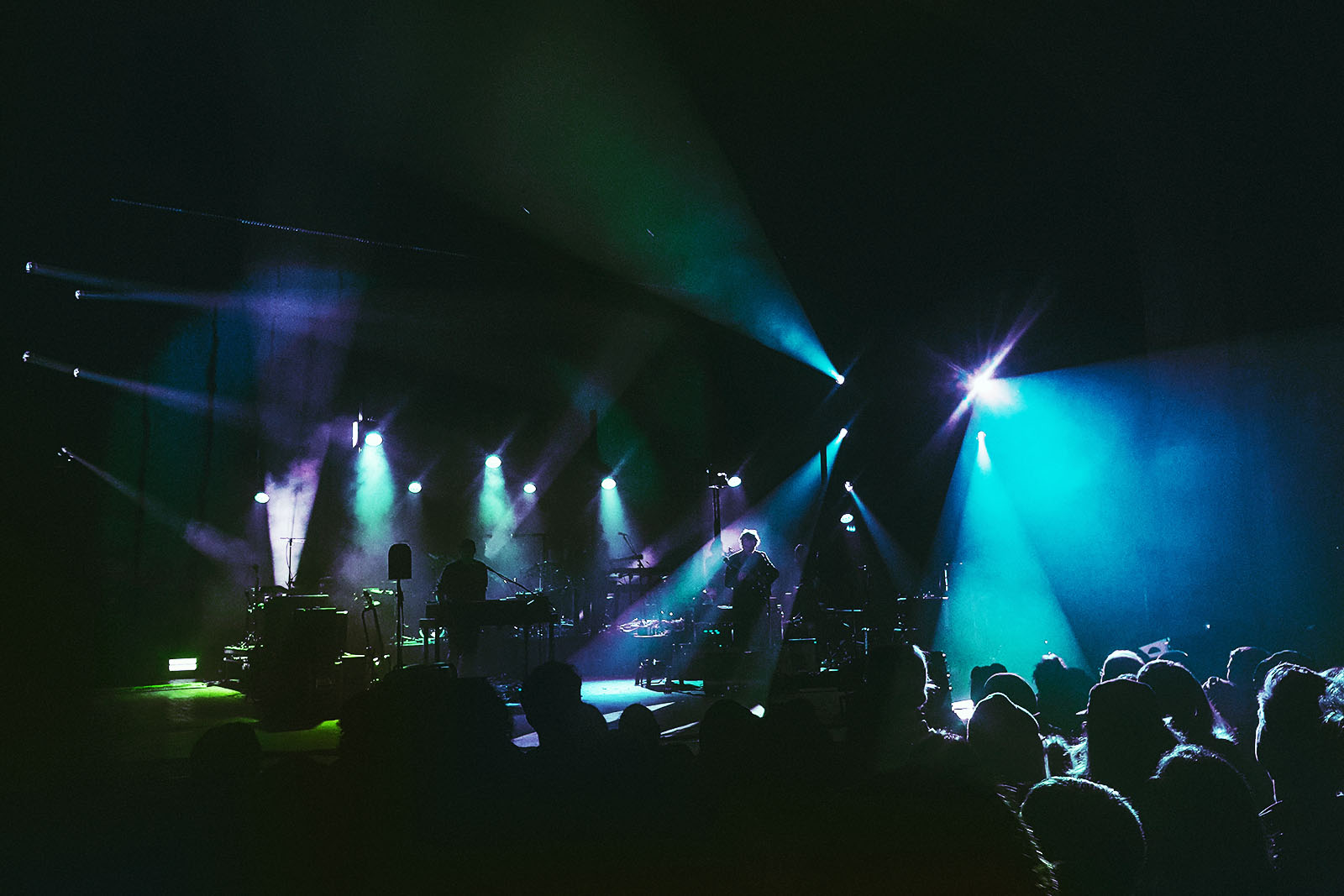 people in a concert